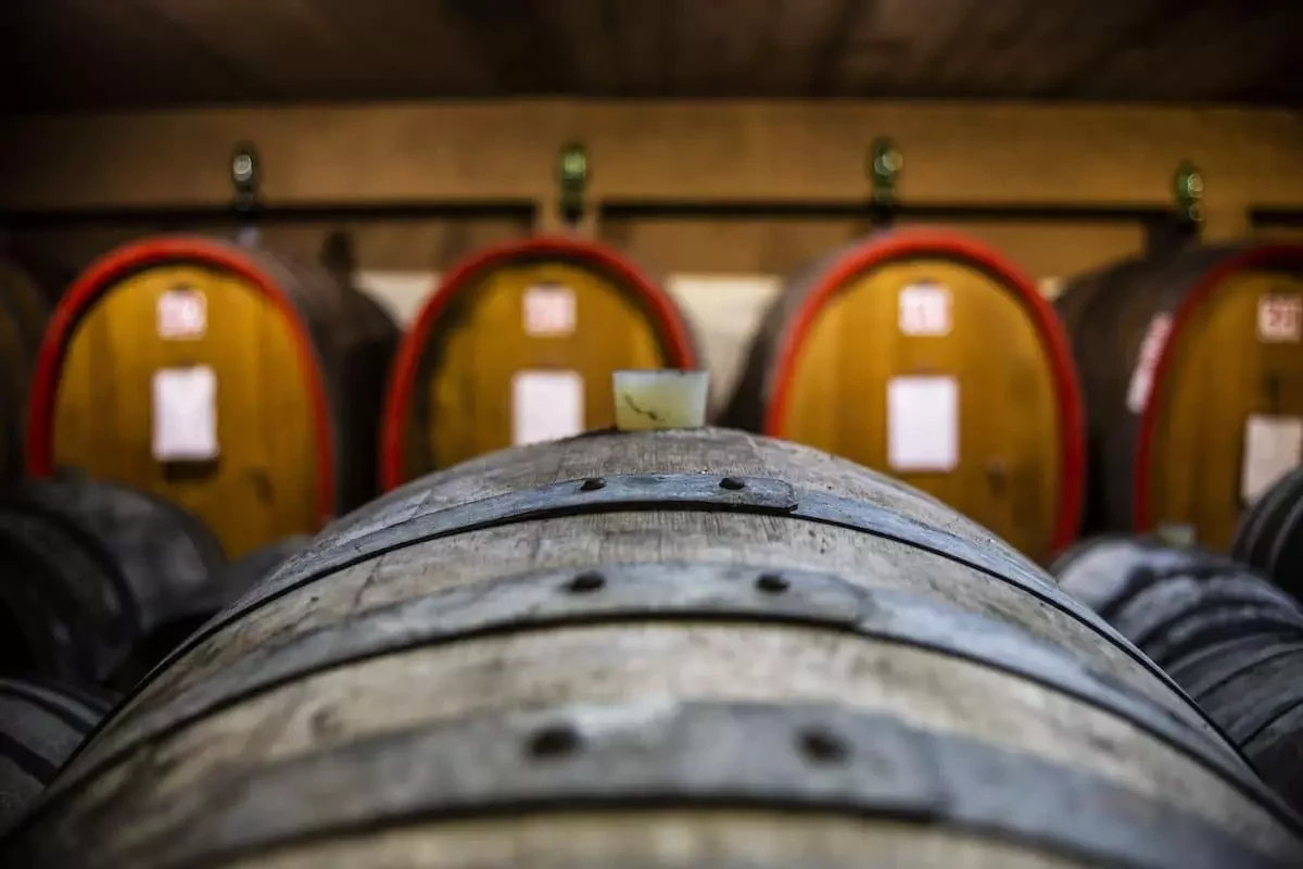 Le botti nella cantina di affinamento di Casa Sola