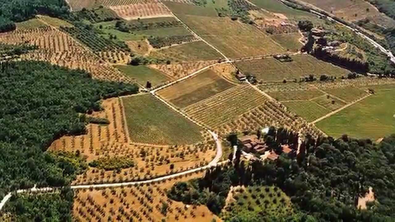 Aerial view of the Chianti countryside